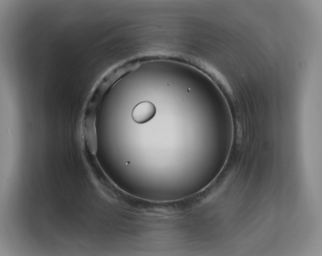 X0000113150580200909110956