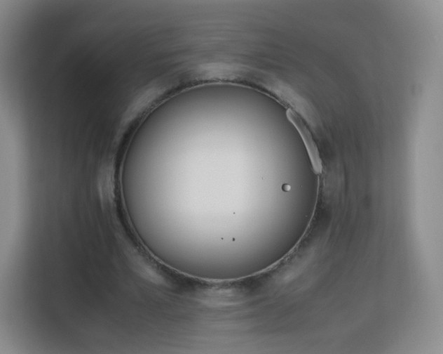 X0000113150581200909110956