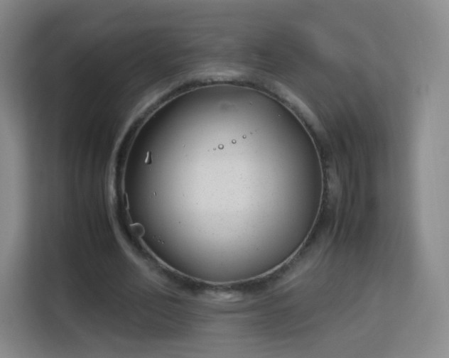 X0000113150582200909110956