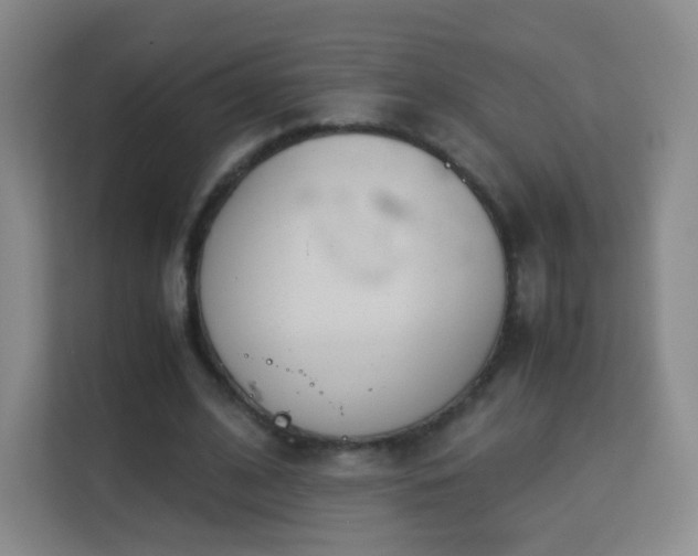 X0000113150584200909110956