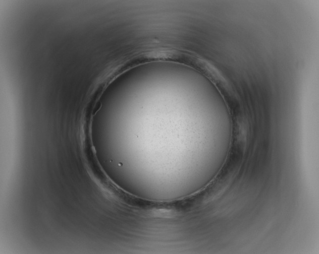 X0000113150586200909110956