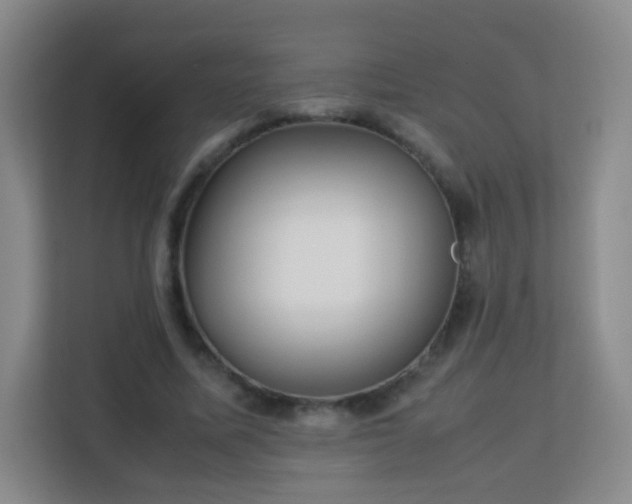 X0000113150587200909110956