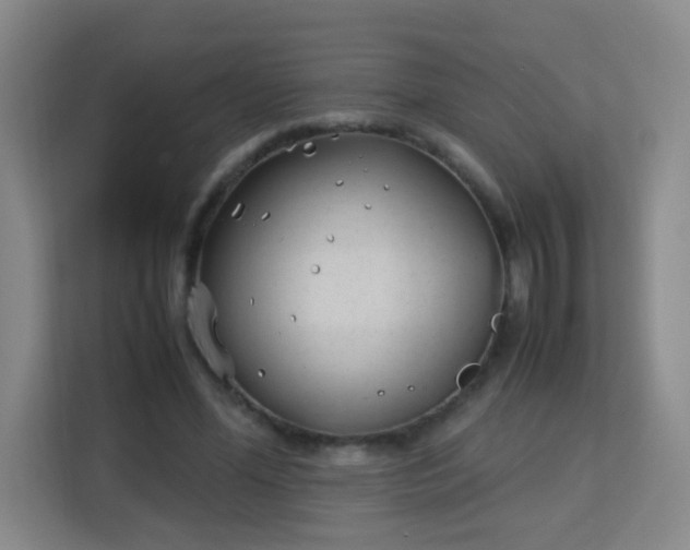 X0000113150588200909110956