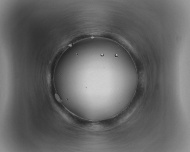 X0000113150589200909110956