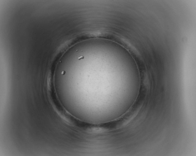 X0000113150590200909110956