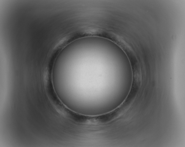 X0000113150591200909110956