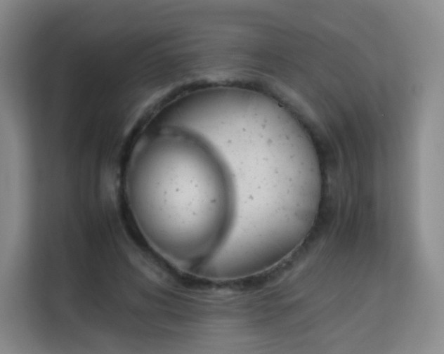 X0000113150592200909110956