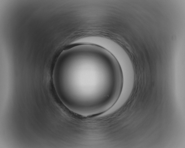 X0000113150593200909110956