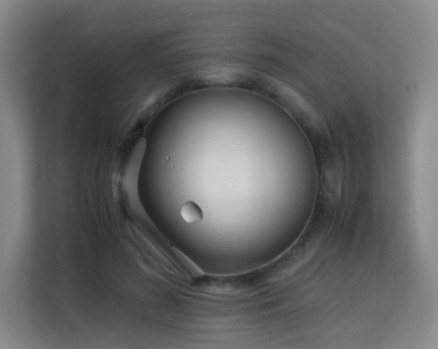 X0000113150596200909110955