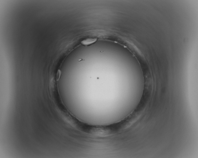 X0000113150597200909110955