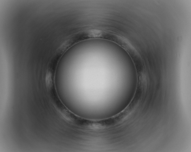 X0000113150598200909110955