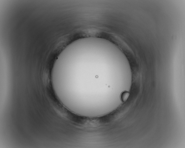 X0000113150599200909110955