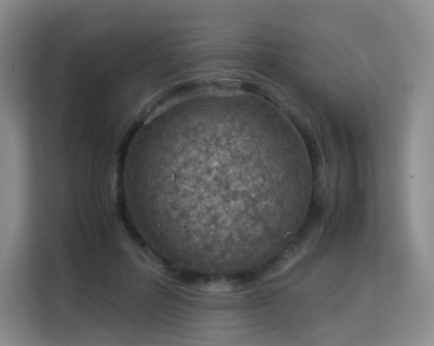 X0000113150600200909110955