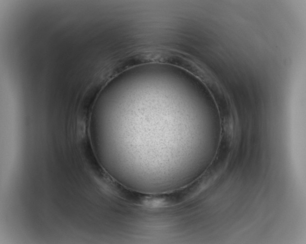 X0000113150602200909110955