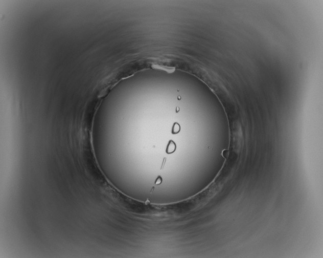 X0000113150608200909110955