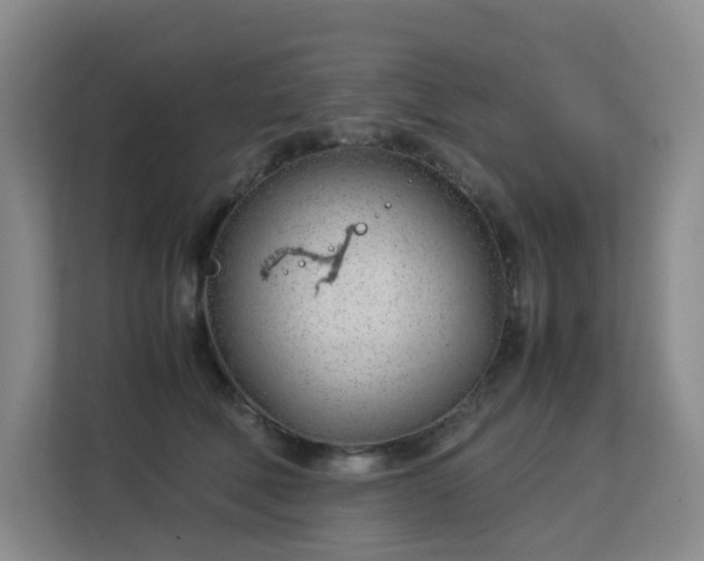 X0000113150610200909110955