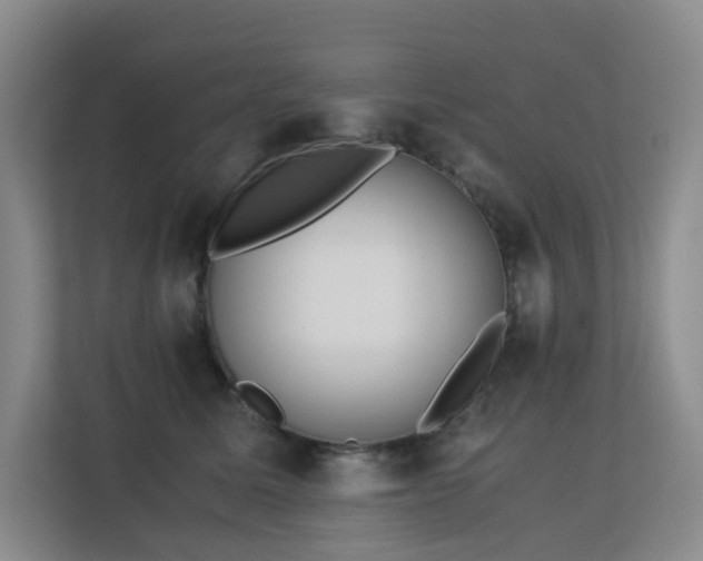 X0000113150611200909110955