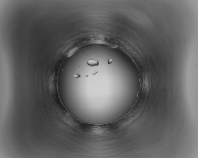 X0000113150616200909110955