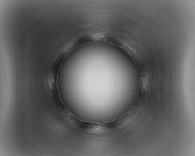 X0000113150618200909110955