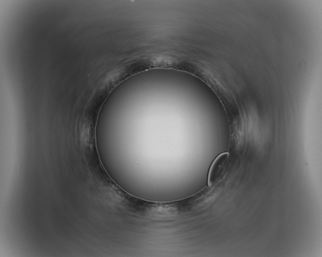 X0000113150619200909110955