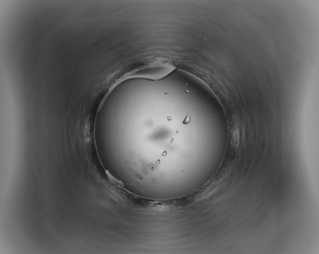 X0000113150620200909110955