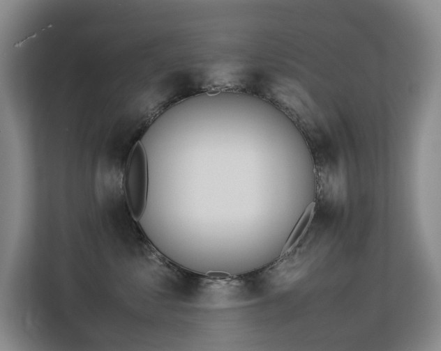 X0000113150621200909110955