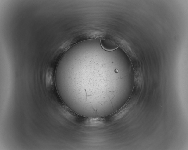 X0000113150622200909110955