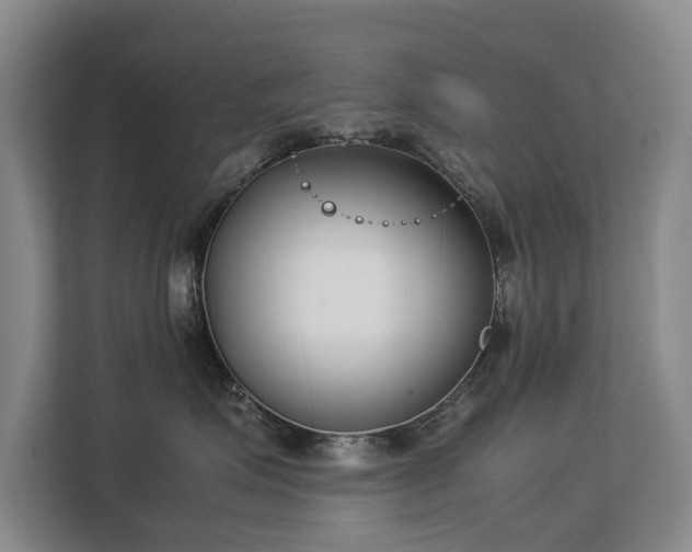 X0000113150623200909110955