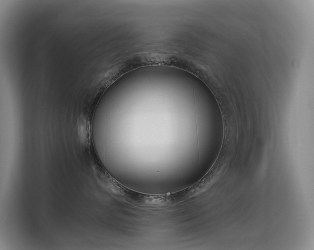 X0000113150624200909110955