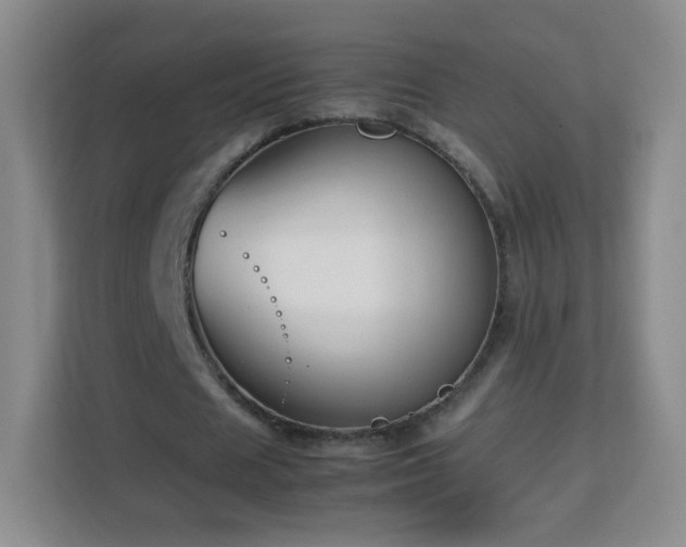 X0000113150625200909110954