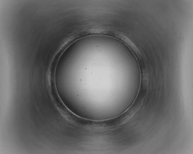 X0000113150626200909110954