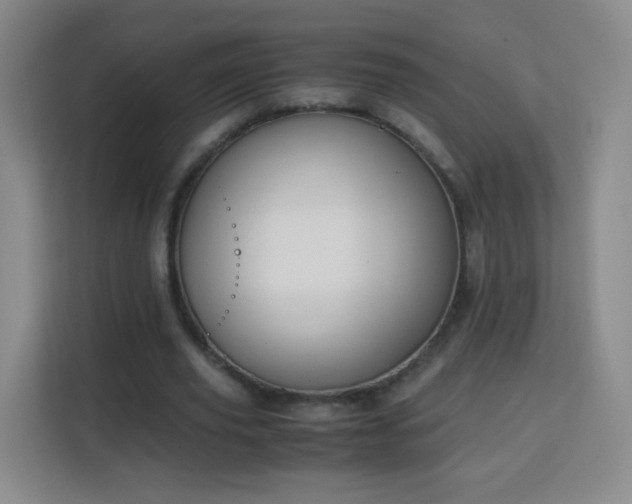 X0000113150629200909110955