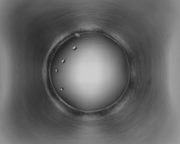 X0000113150630200909110955