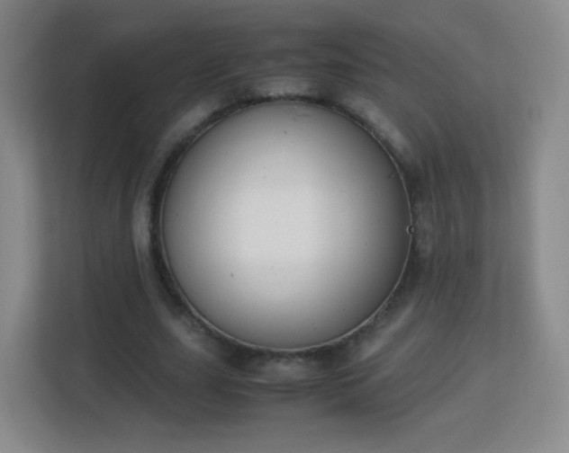 X0000113150631200909110955