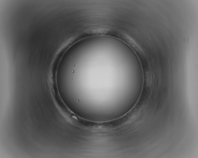 X0000113150634200909110955