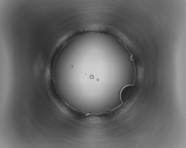 X0000113150636200909110955