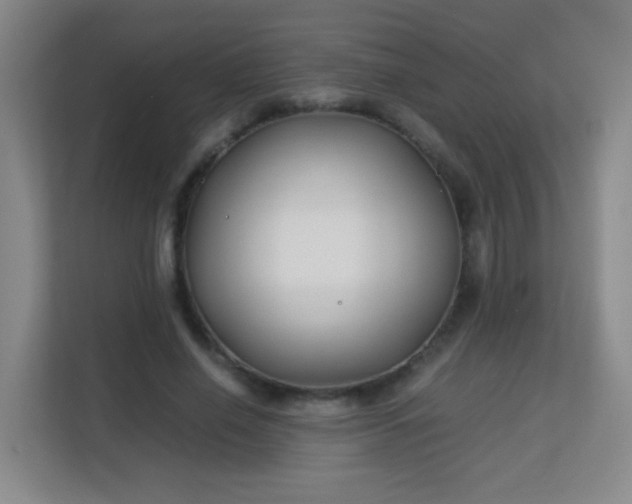 X0000113150638200909110955