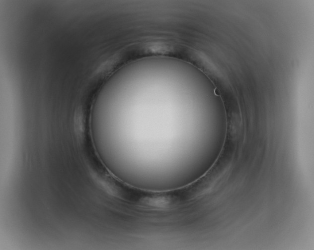 X0000113150639200909110955