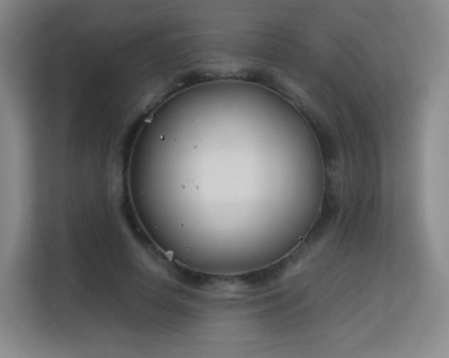 X0000113150642200909110955