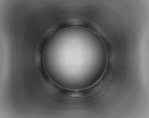 X0000113150643200909110955