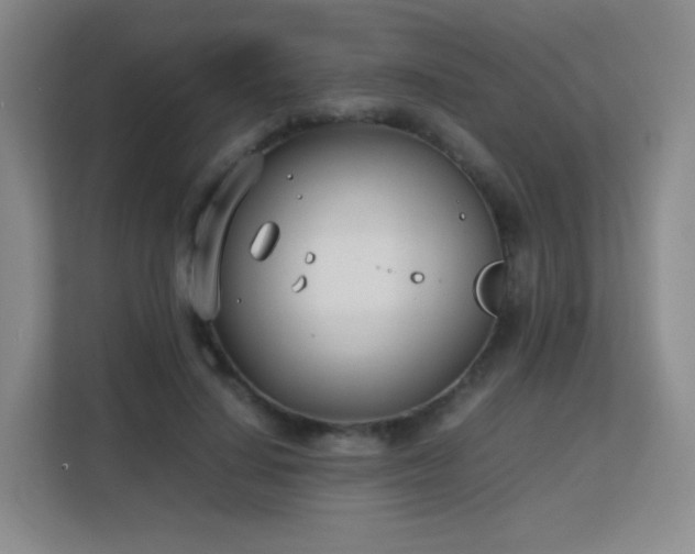 X0000113150644200909110955