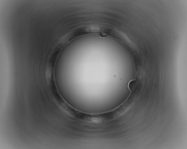 X0000113150645200909110955