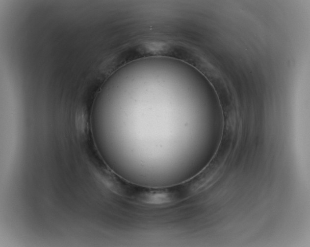 X0000113150651200909110955