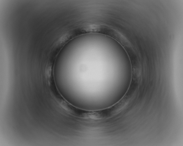 X0000113150652200909110955