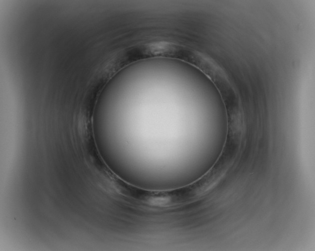 X0000113150653200909110955