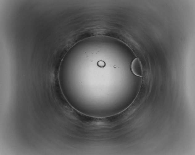 X0000113150655200909110955