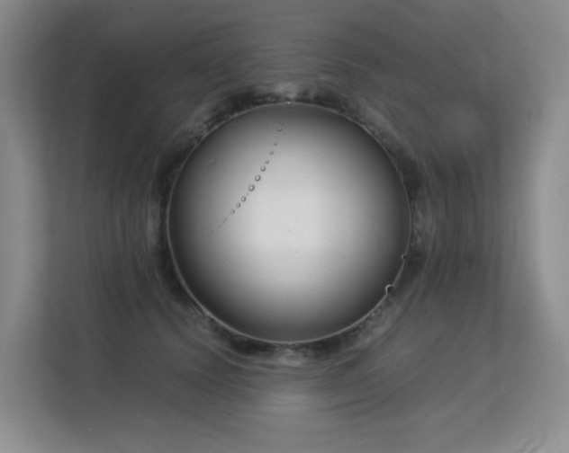 X0000113150656200909110955