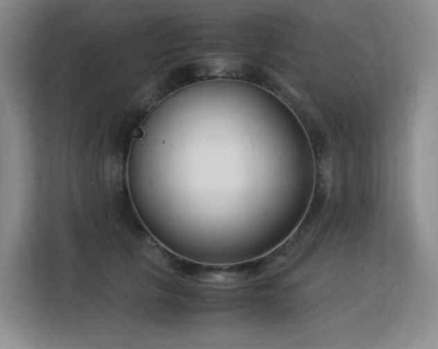 X0000113150657200909110955