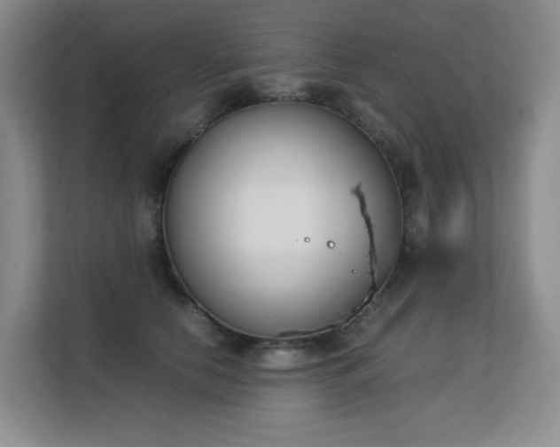 X0000113150658200909110955