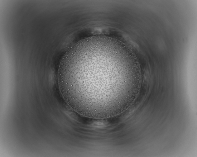 X0000113150659200909110955